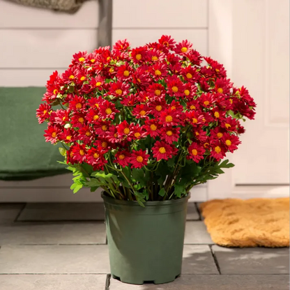 💥Last Day Each - Artificial Outdoor Sunset Mums Flowers - Waterproof, Windproof