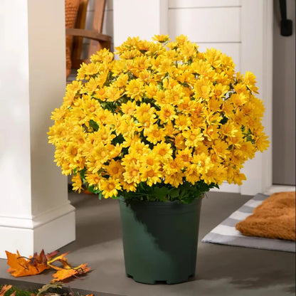 💥Last Day Each - Artificial Outdoor Sunset Mums Flowers - Waterproof, Windproof